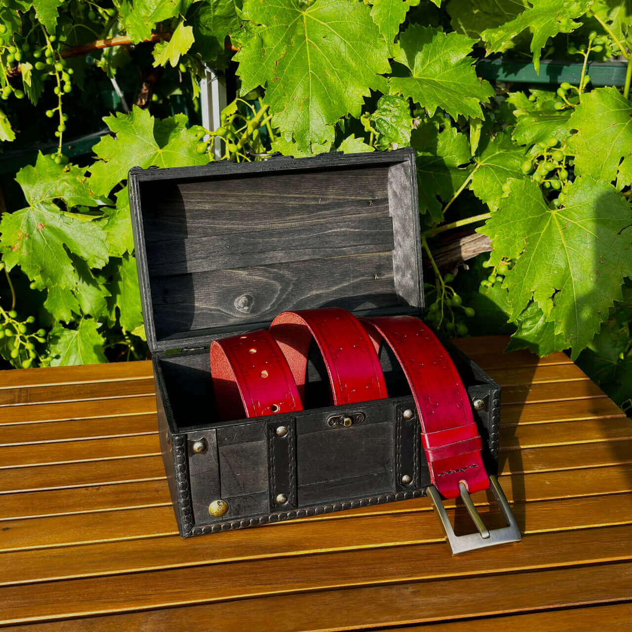 Pas čeveljček_rdeč