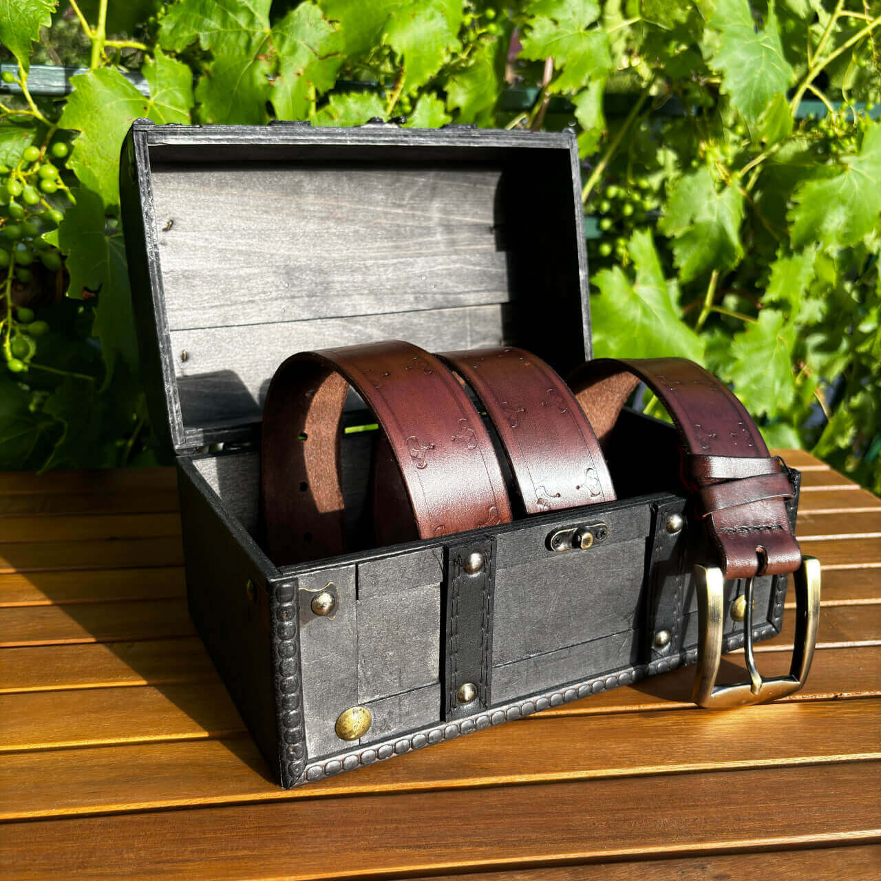 Pas čeveljček_rjav