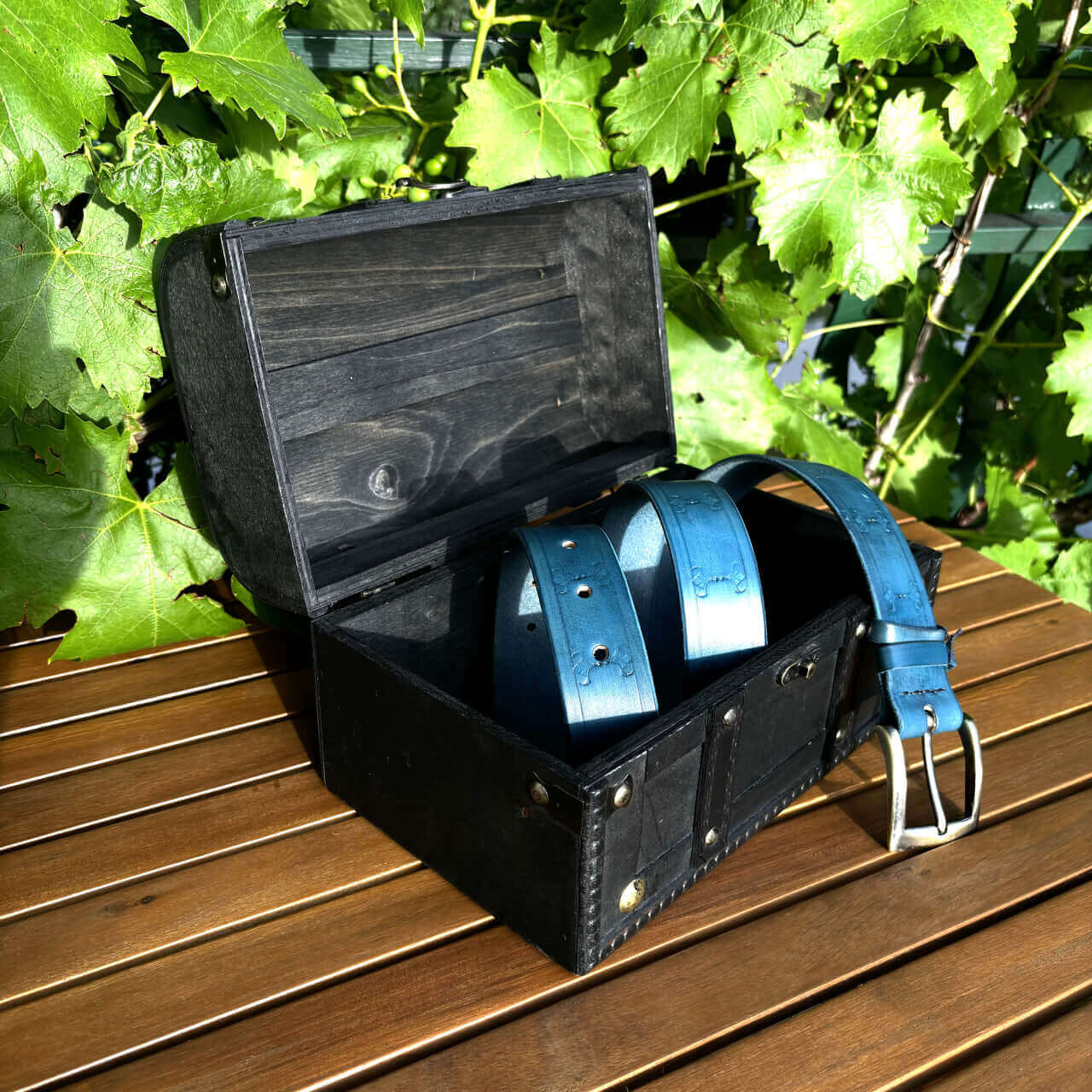 Pas čeveljček_turkiz